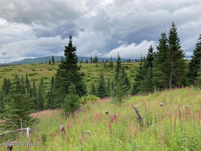 17775 SW Caribou Hills Rem, Ninilchik, Alaska image 13