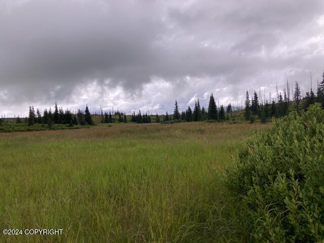 17775 SW Caribou Hills Rem, Ninilchik, Alaska image 27