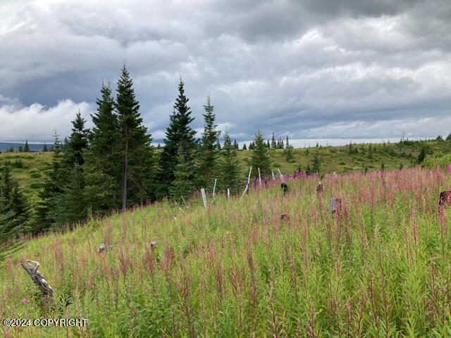 17775 SW Caribou Hills Rem, Ninilchik, Alaska image 12