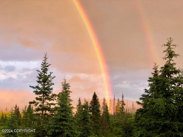 17775 SW Caribou Hills Rem, Ninilchik, Alaska image 17