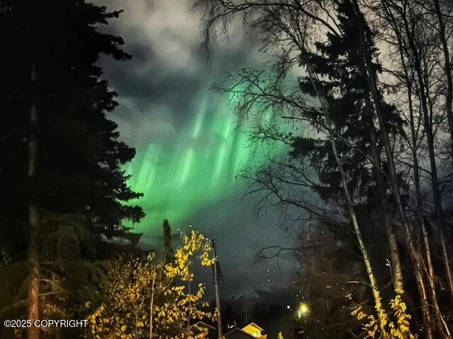 9011 Granite Place, Anchorage, Alaska image 33