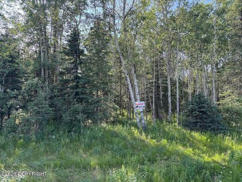 Photo of 8A2 Lake Road, Soldotna, AK 99669 (MLS # 26-5902)