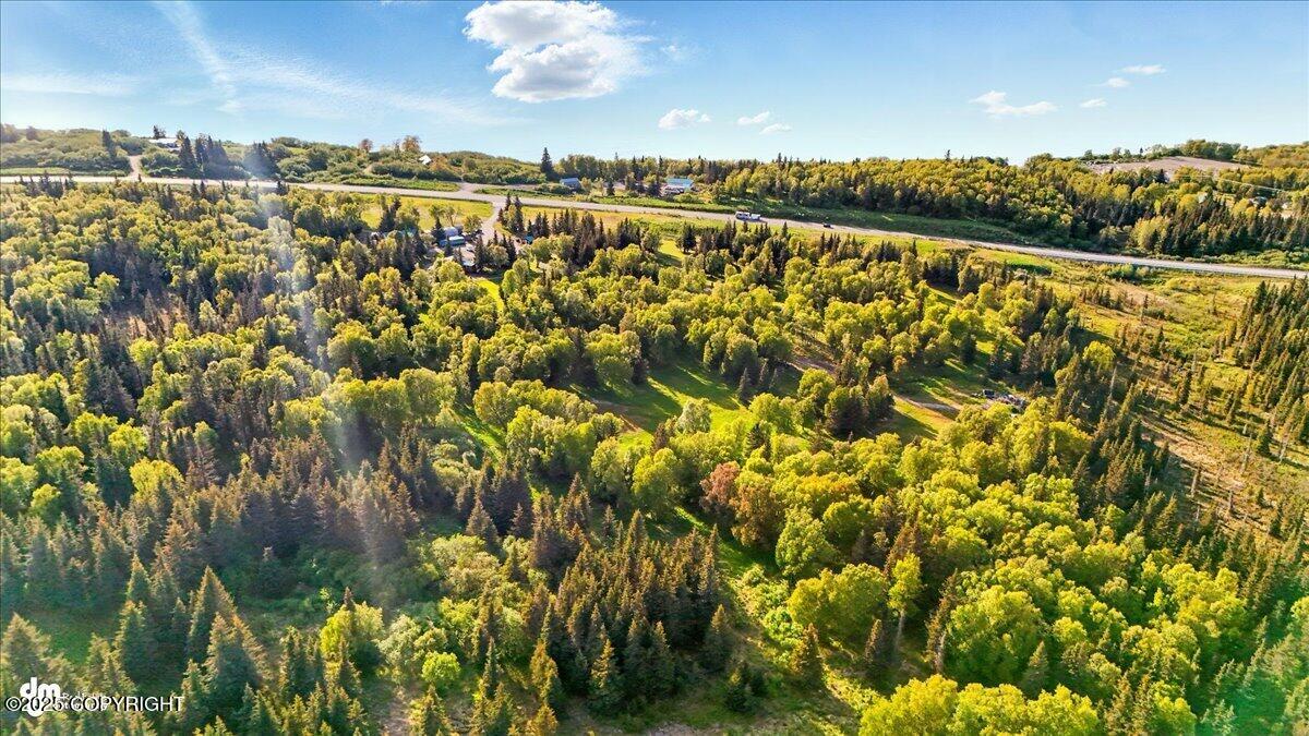 Ninilchik, Alaska 99639, United States, 11 Bedrooms Bedrooms, ,11 BathroomsBathrooms,Residential,Active,144240