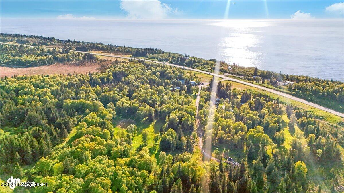13364 Sterling Highway, Ninilchik, Alaska image 8