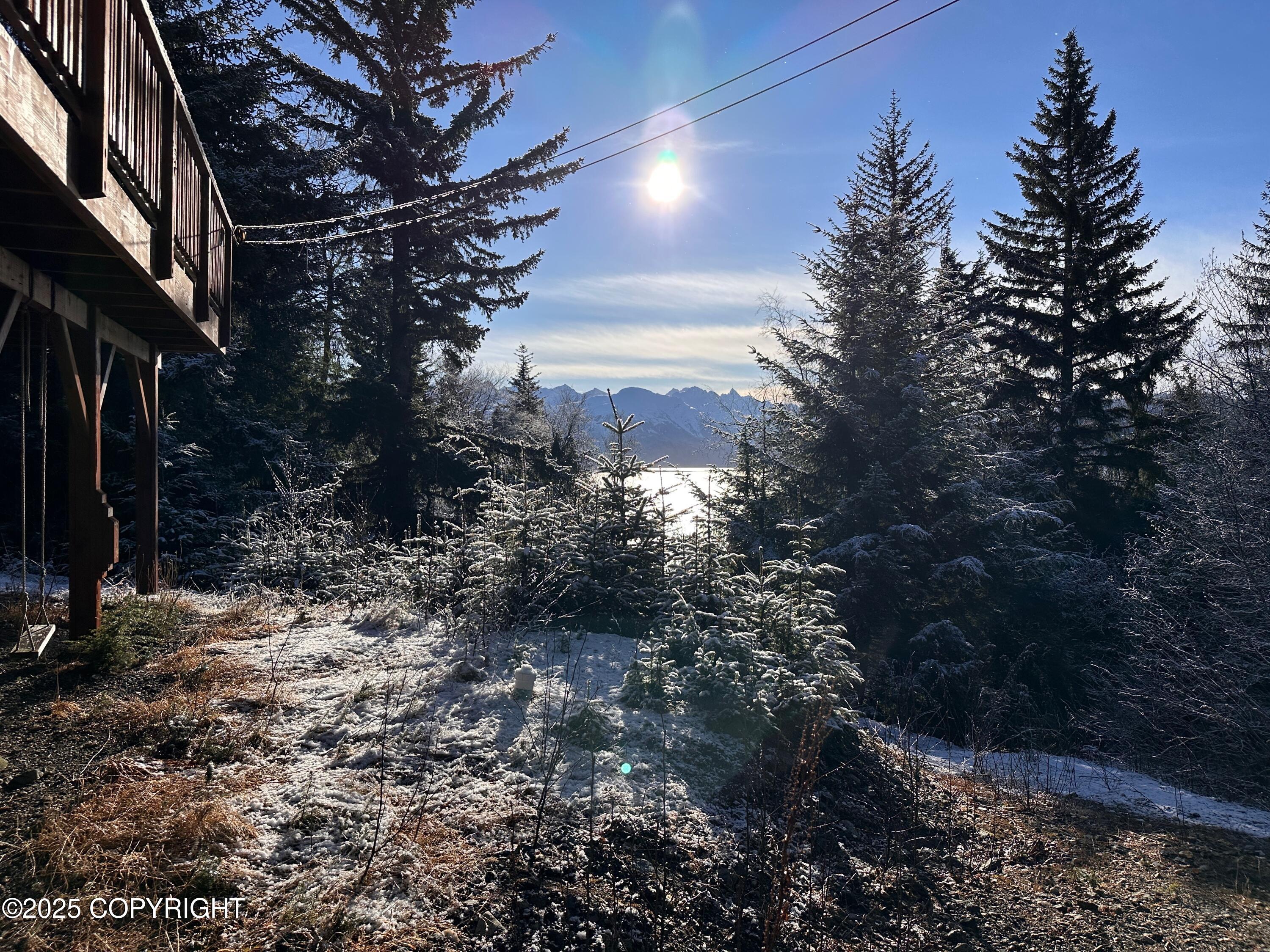 976 Young Road, Haines, Alaska image 26