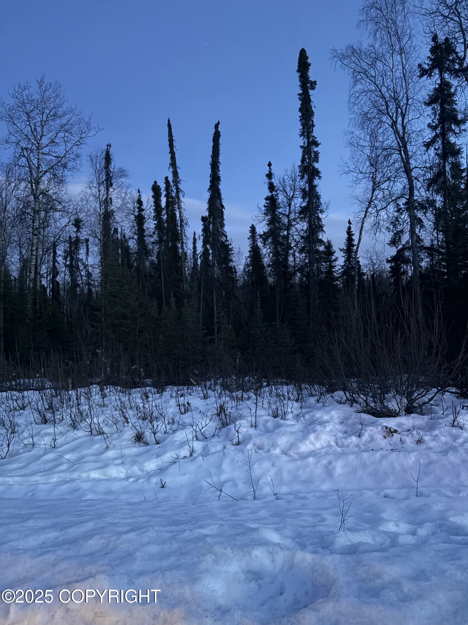 25275 W Susitna Parkway, Big Lake, Alaska image 2