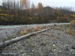 9830 S Cache Crk Drive, Trapper Creek, Alaska image 14