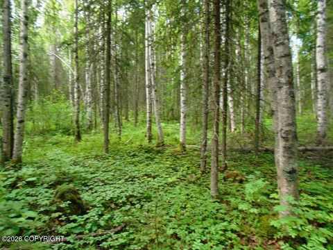 Vacant Land For Sale - 1801 N Claudia Road<br/> Houston, AK 99623