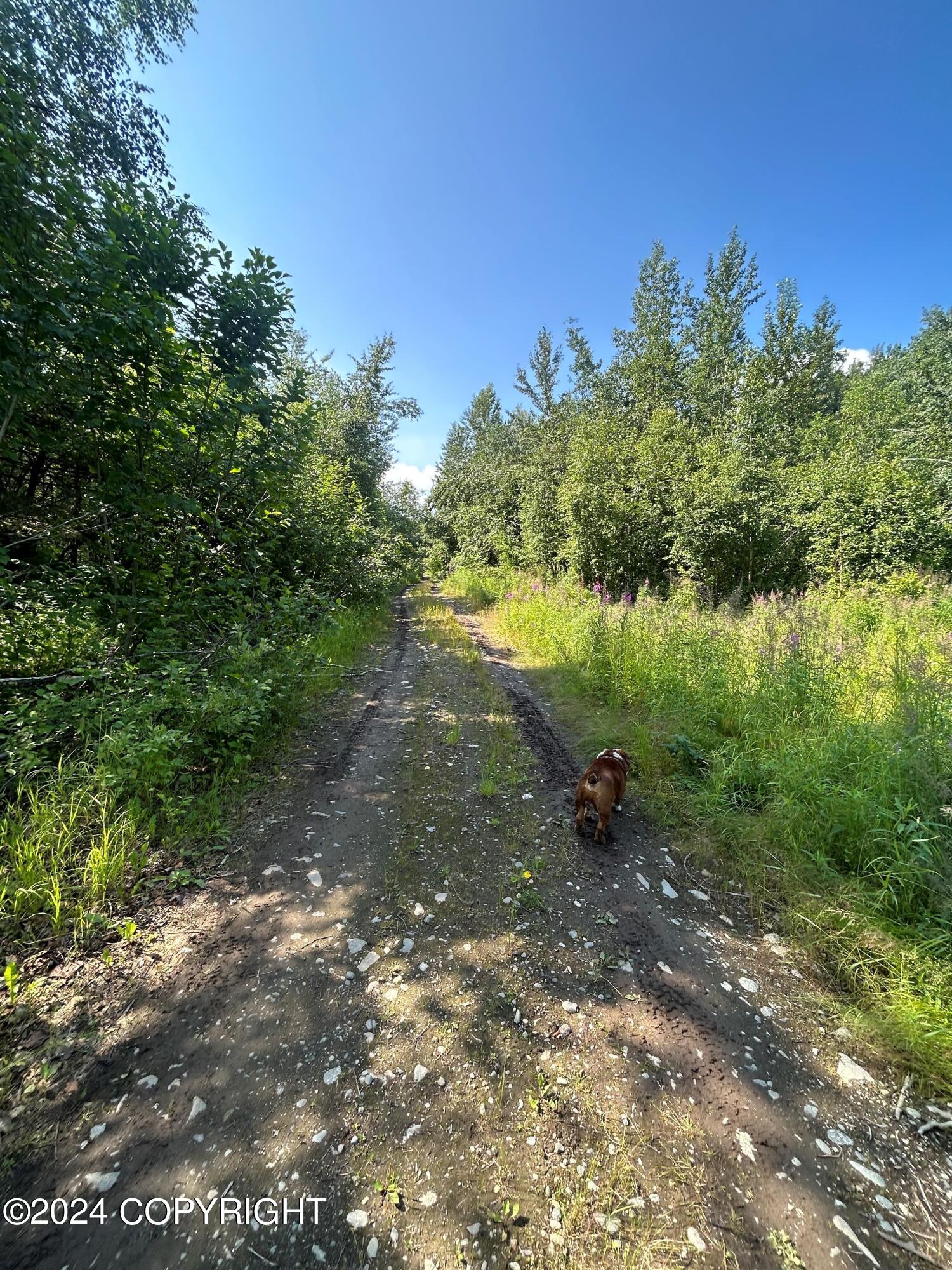 4036 S Pinnacle Peak Drive, Wasilla, Idaho image 20