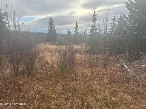 Vacant Land For Sale - 006 Wells Street<br/> Ninilchik, AK 99639