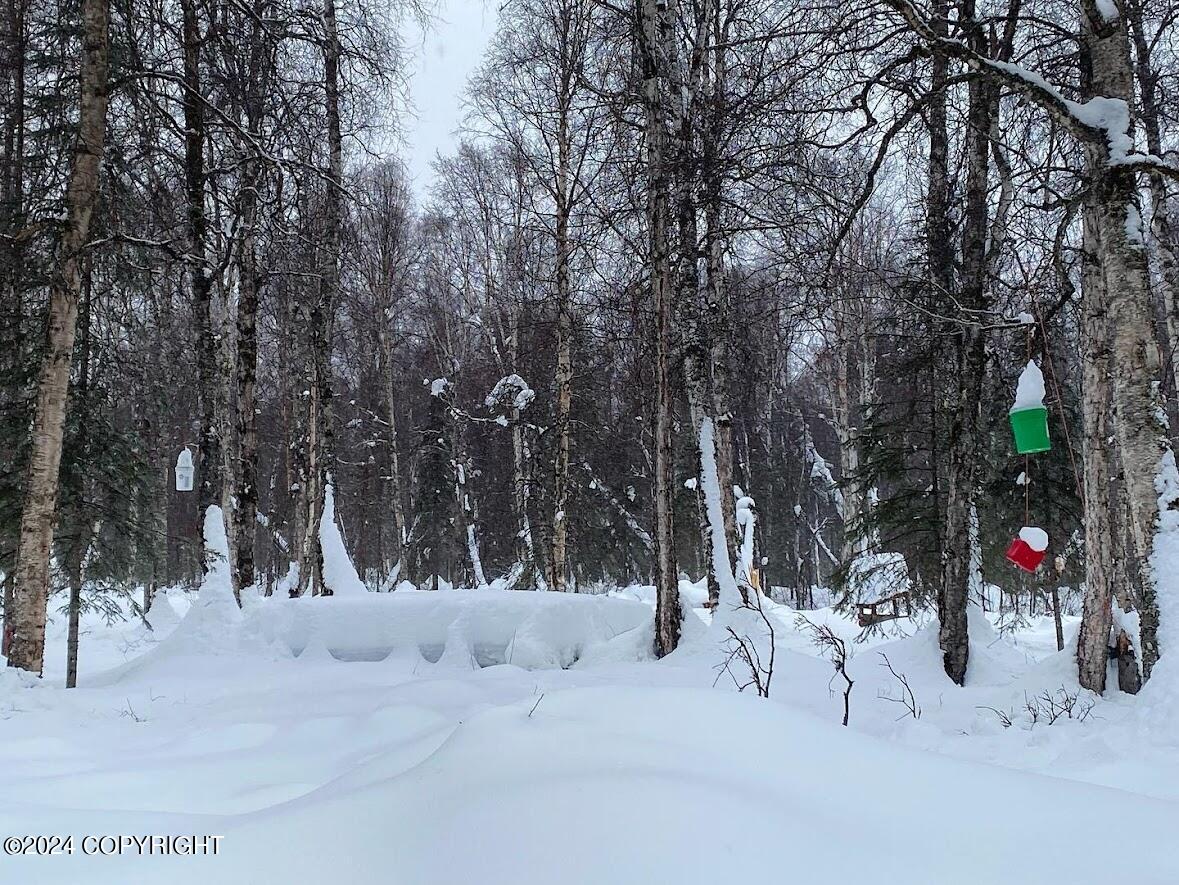 No Road E Walsted Drive, Talkeetna, Alaska image 18