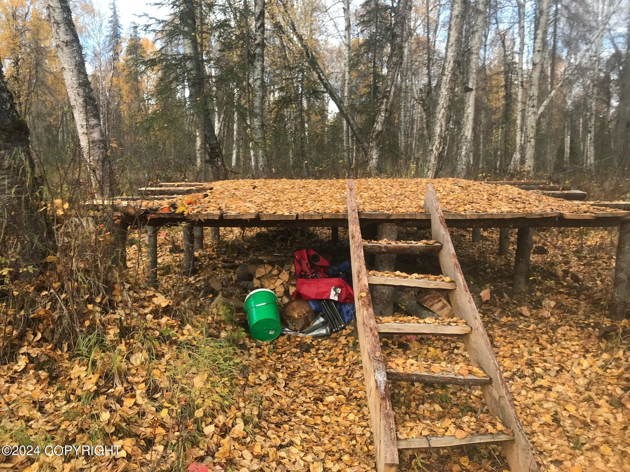 No Road E Walsted Drive, Talkeetna, Alaska image 16