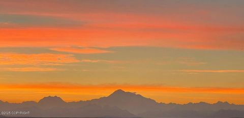 Photo of 15199 E Axelsson Drive, Talkeetna, AK 99676 (MLS # 25-14823)