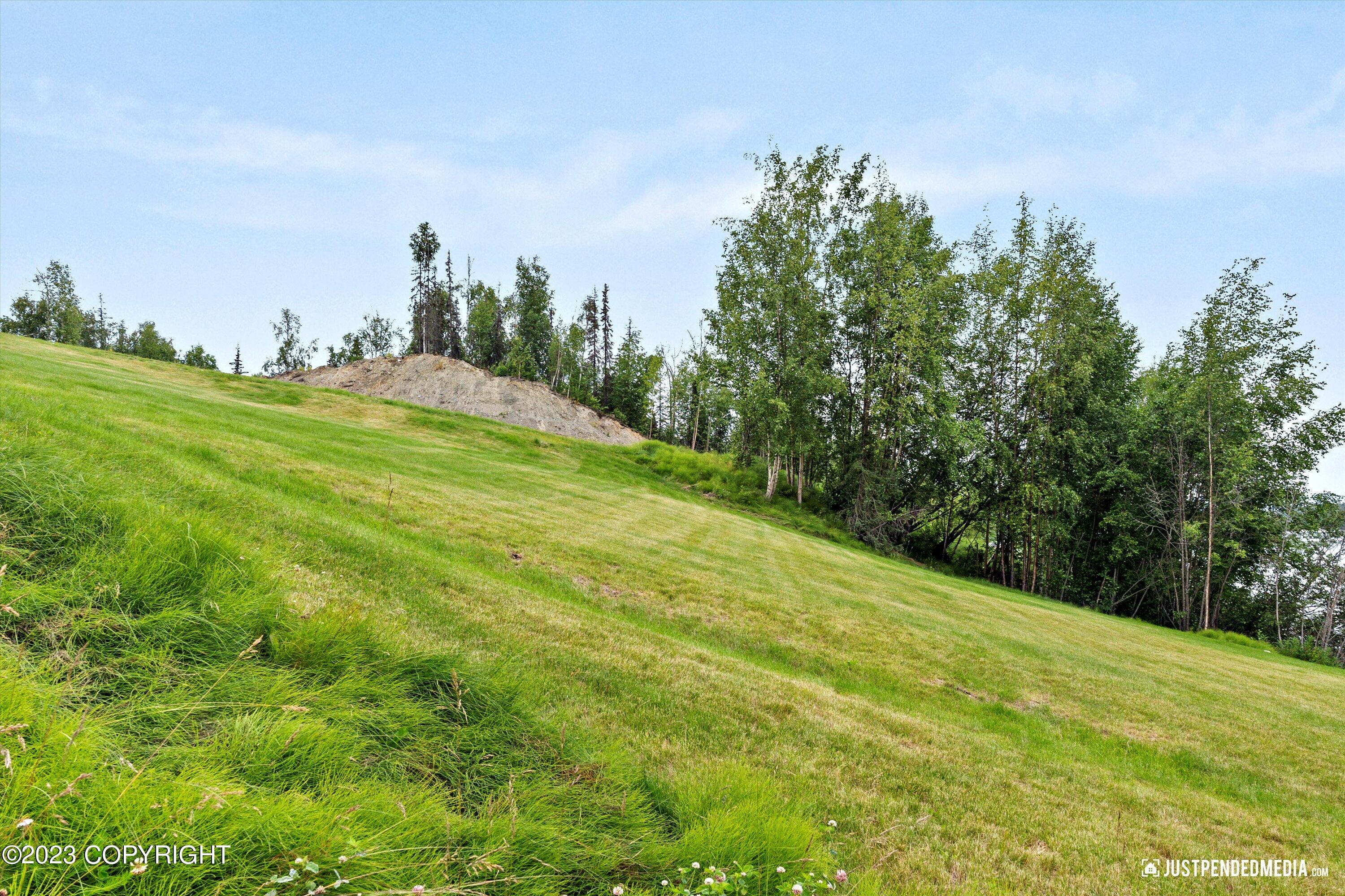 4413 Call Of The Wild Road, Wasilla, Pennsylvania image 34