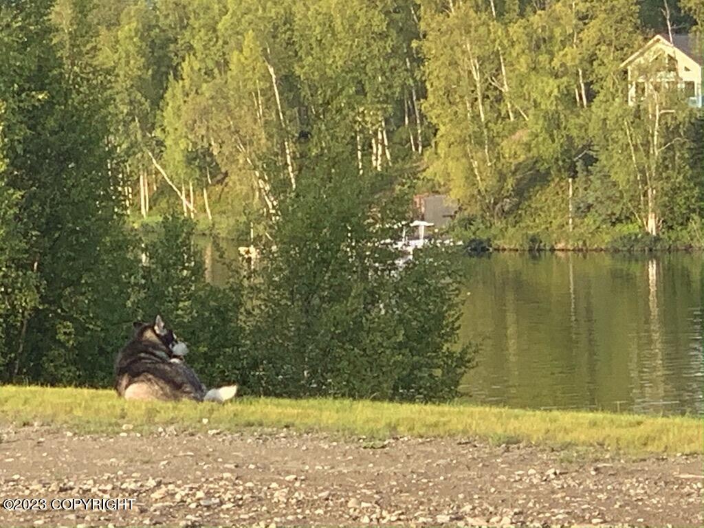 4413 Call Of The Wild Road, Wasilla, Pennsylvania image 1