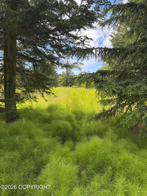Photo of 000 Moon Lane, Homer, AK 99603 (MLS # 26-8212)