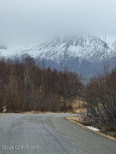 L1 Bear Ridge Circle