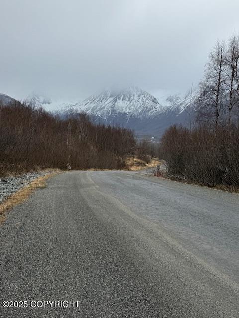 L1 Bear Ridge Circle