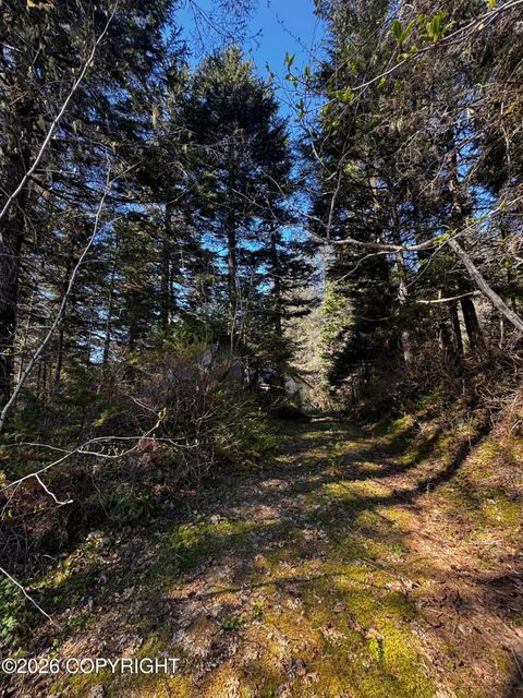 Vacant Land For Sale - 15485 Grouse Creek Road<br/> Seward, AK 99664