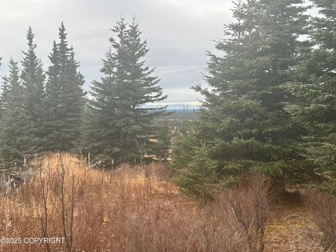 Vacant Land For Sale - 003 Wells Street<br/> Ninilchik, AK 99639