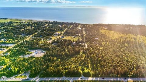 Photo of 33045 Sterling Highway, Anchor Point, AK 99556 (MLS # 26-5236)
