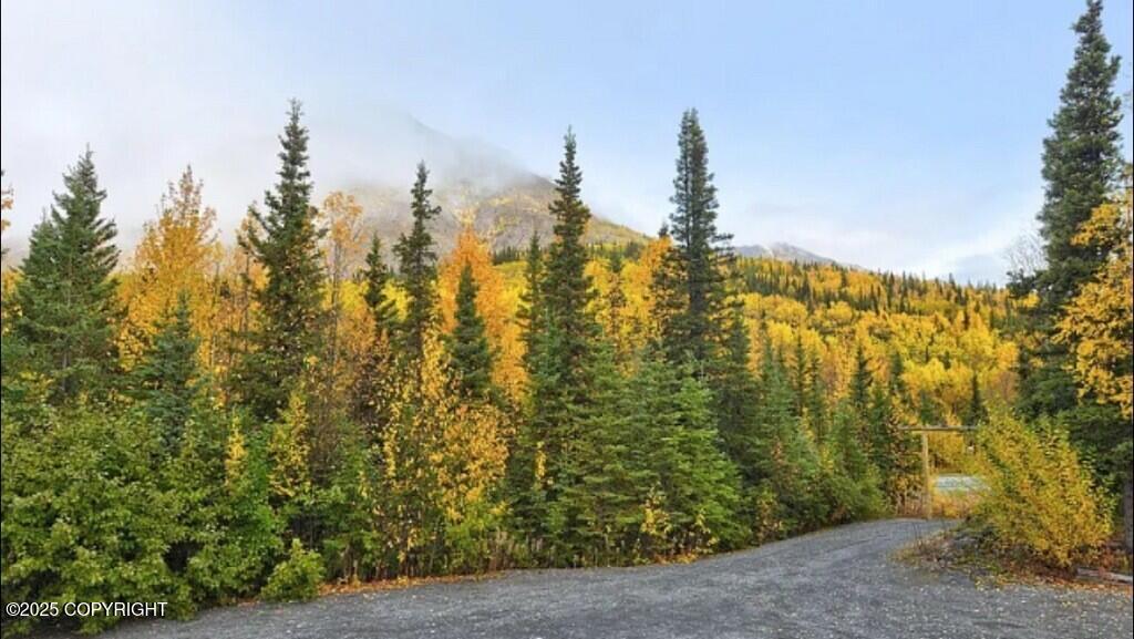 Cooper Landing, Alaska 99572, United States, 4 Bedrooms Bedrooms, ,3 BathroomsBathrooms,Residential,Active,116603