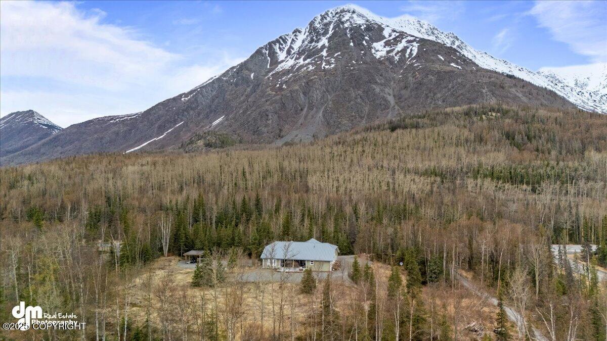 Cooper Landing, Alaska 99572, United States, 4 Bedrooms Bedrooms, ,3 BathroomsBathrooms,Residential,Active,116603