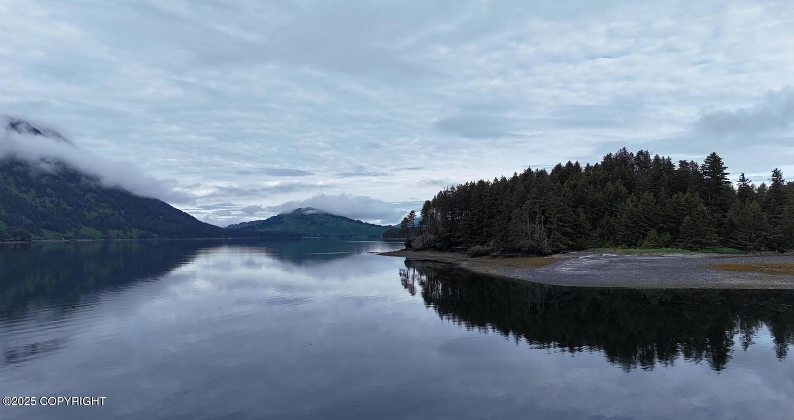 000 Dry Spruce Island