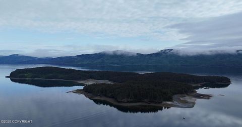 000 Dry Spruce Island Port Lions AK 99550