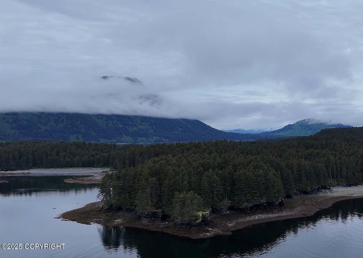 000 Dry Spruce Island