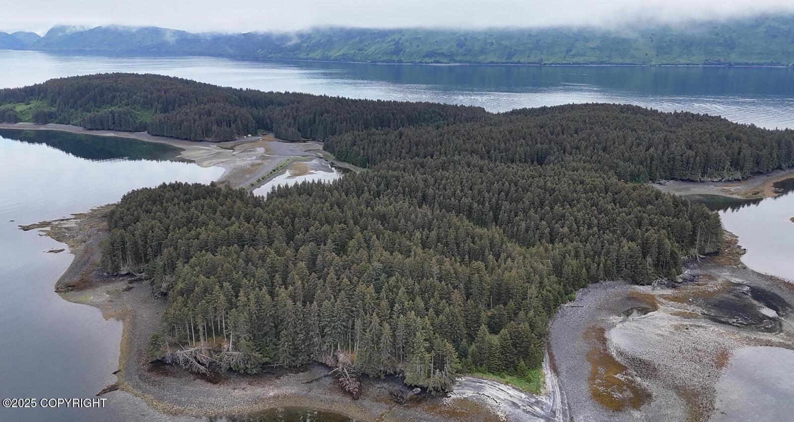 000 Dry Spruce Island