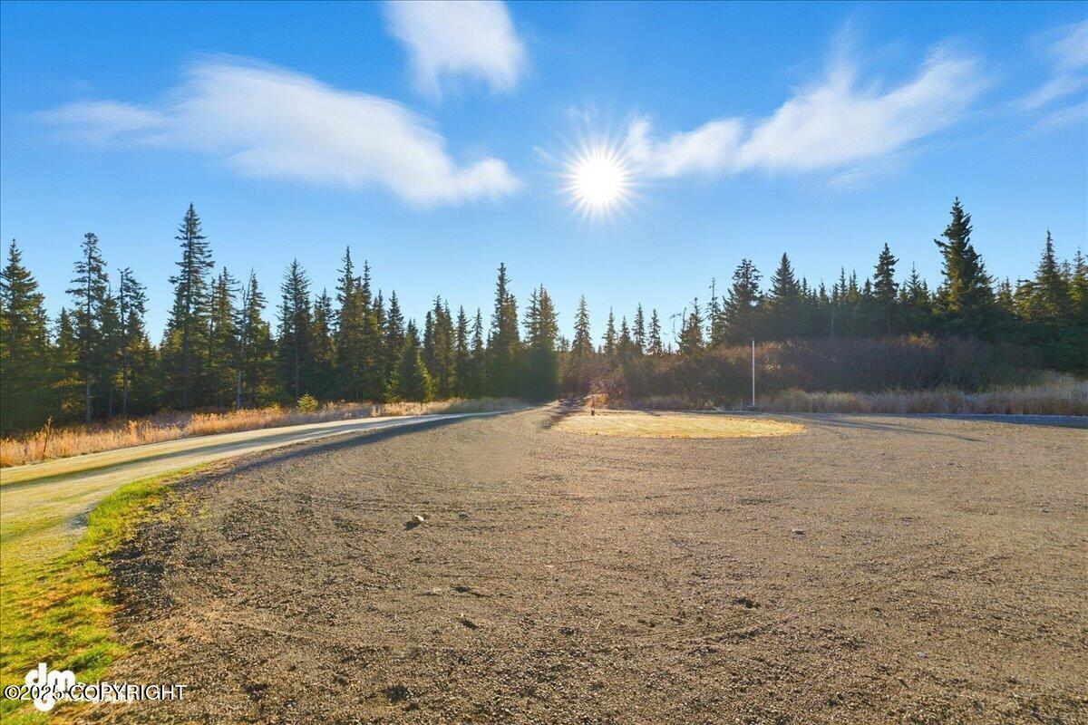 Anchor Point, Alaska 99556, United States, 6 Bedrooms Bedrooms, ,3 BathroomsBathrooms,Residential,Active,230556