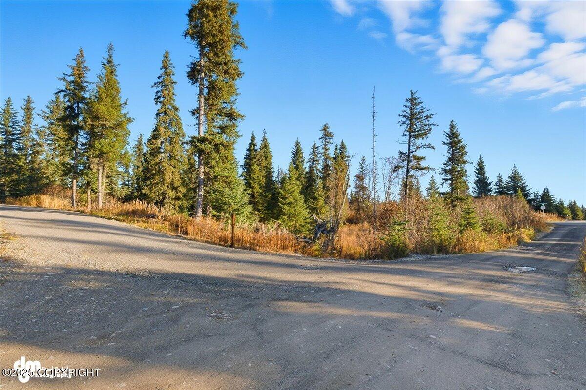 Anchor Point, Alaska 99556, United States, 6 Bedrooms Bedrooms, ,3 BathroomsBathrooms,Residential,Active,230556