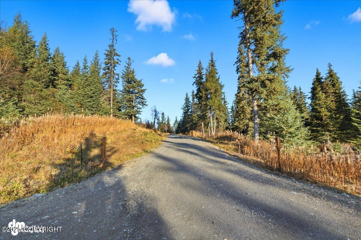 Anchor Point, Alaska 99556, United States, 6 Bedrooms Bedrooms, ,3 BathroomsBathrooms,Residential,Active,230556