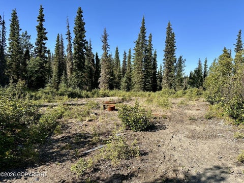 Vacant Land For Sale - 19910 Linda Lane<br/> Kasilof, AK 99610