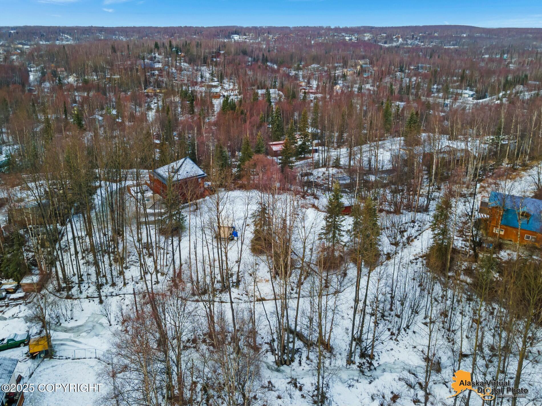 20845 Frosty Drive, Chugiak, Alaska image 33