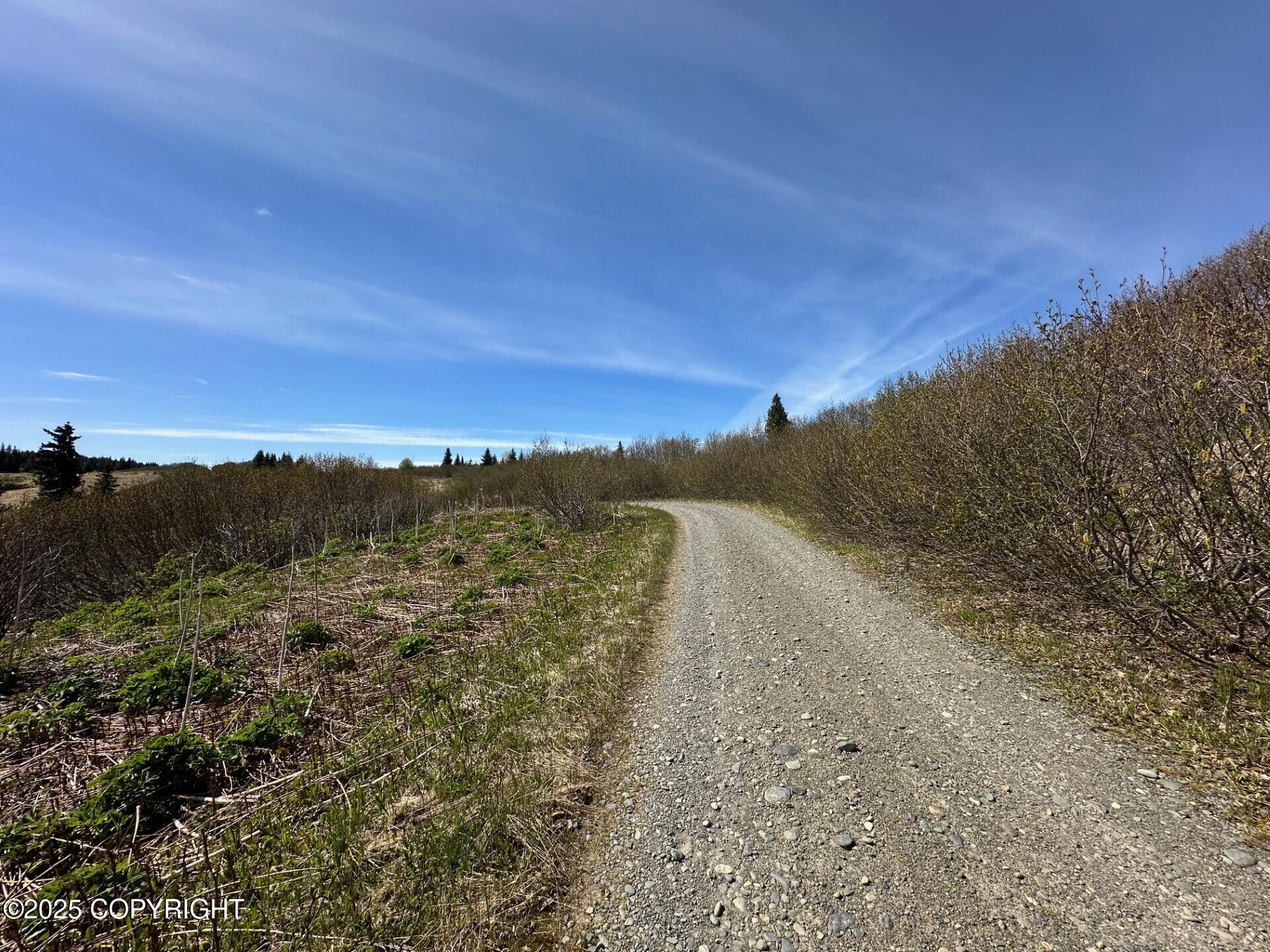 63687 Inez Avenue, Anchor Point, Alaska image 25