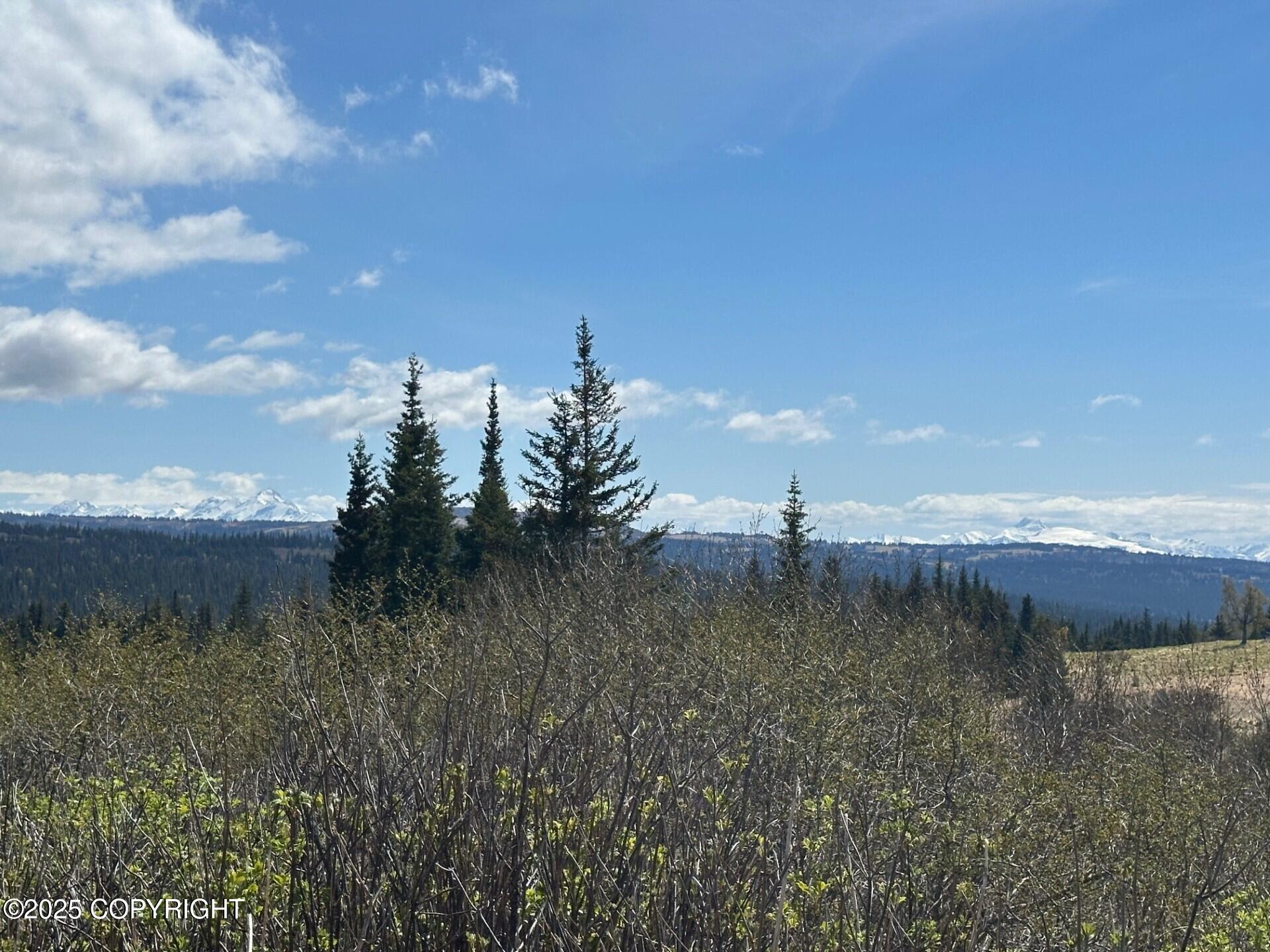 63687 Inez Avenue, Anchor Point, Alaska image 26
