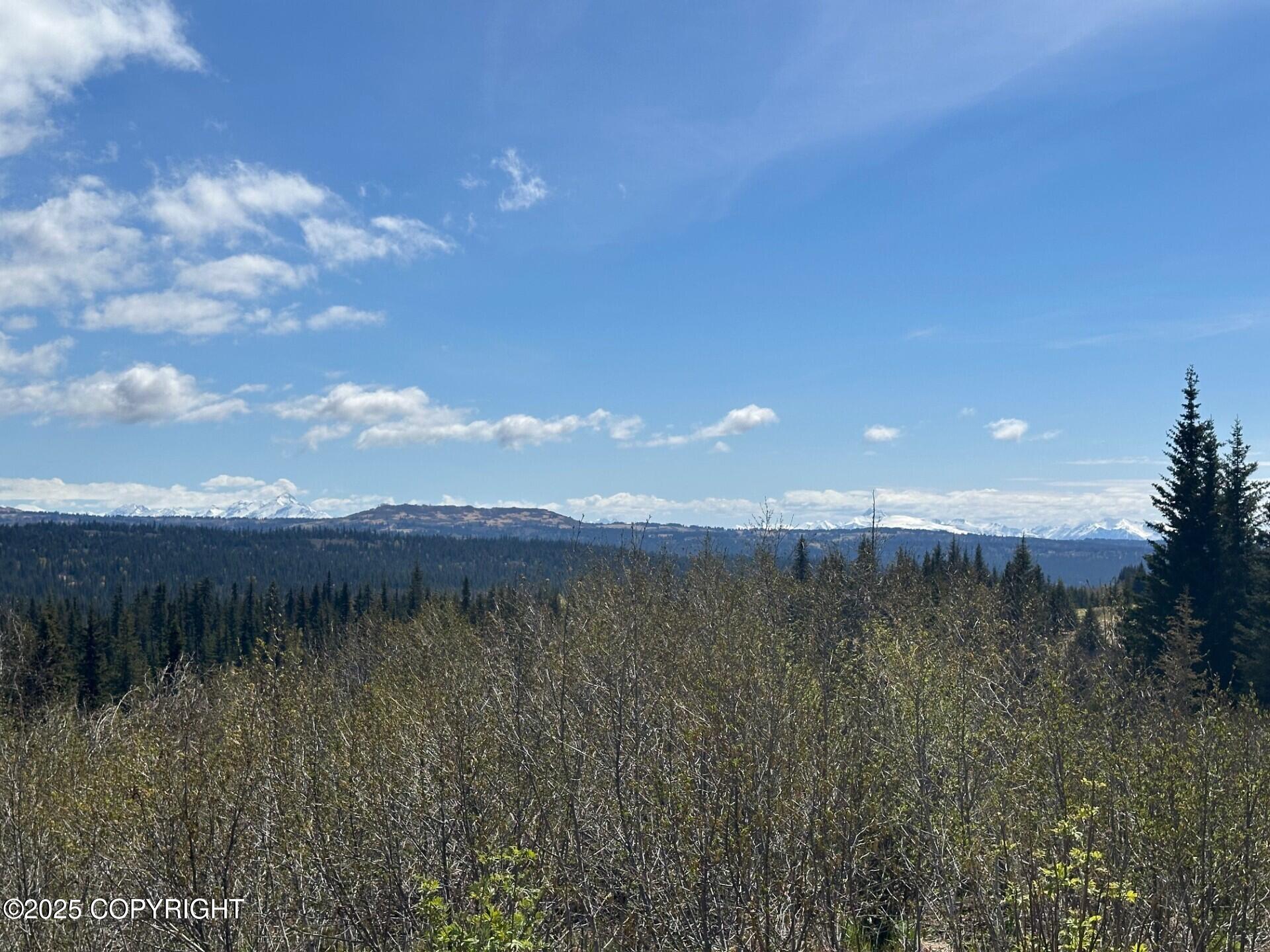 63687 Inez Avenue, Anchor Point, Alaska image 6