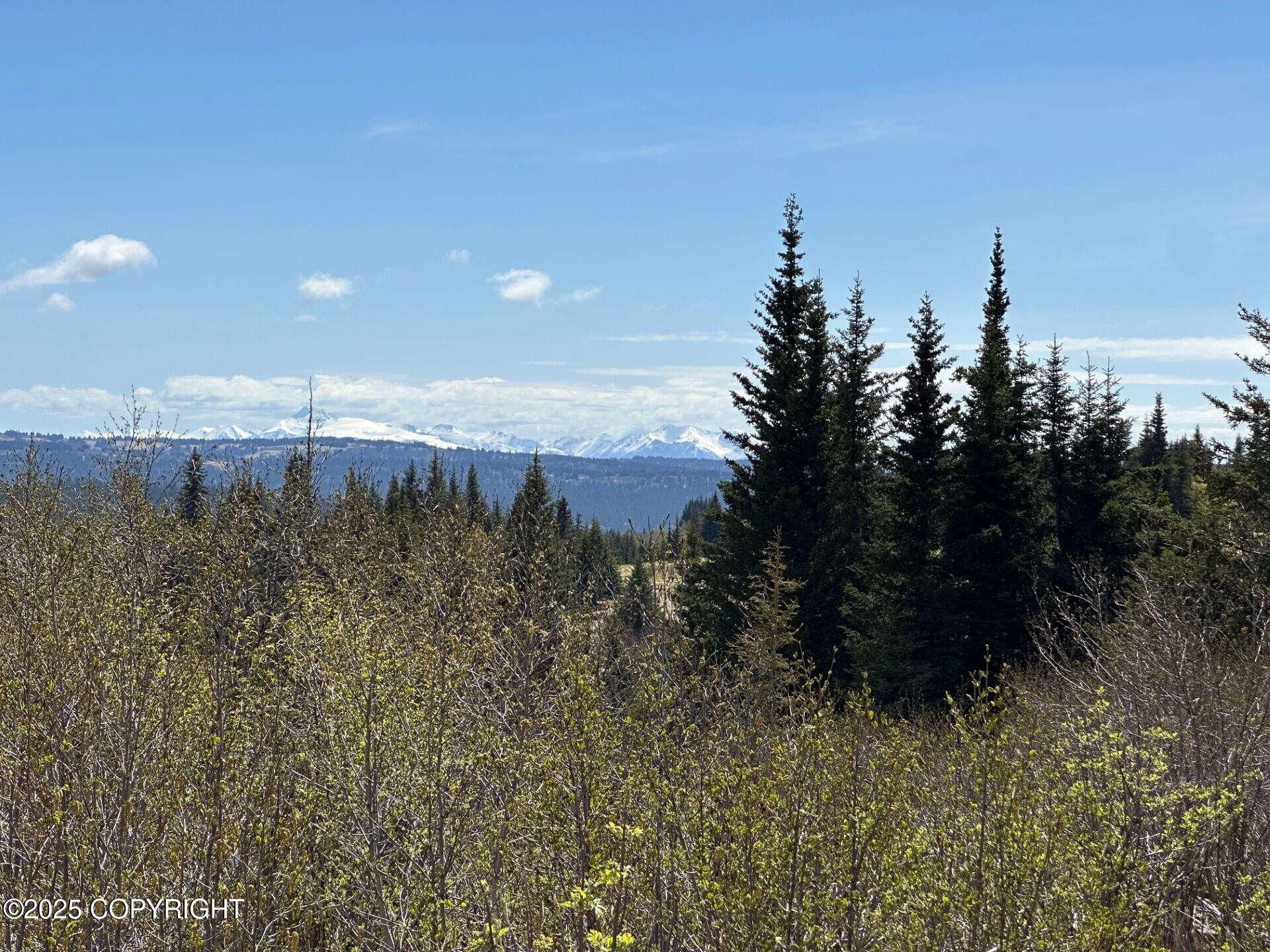 63687 Inez Avenue, Anchor Point, Alaska image 30