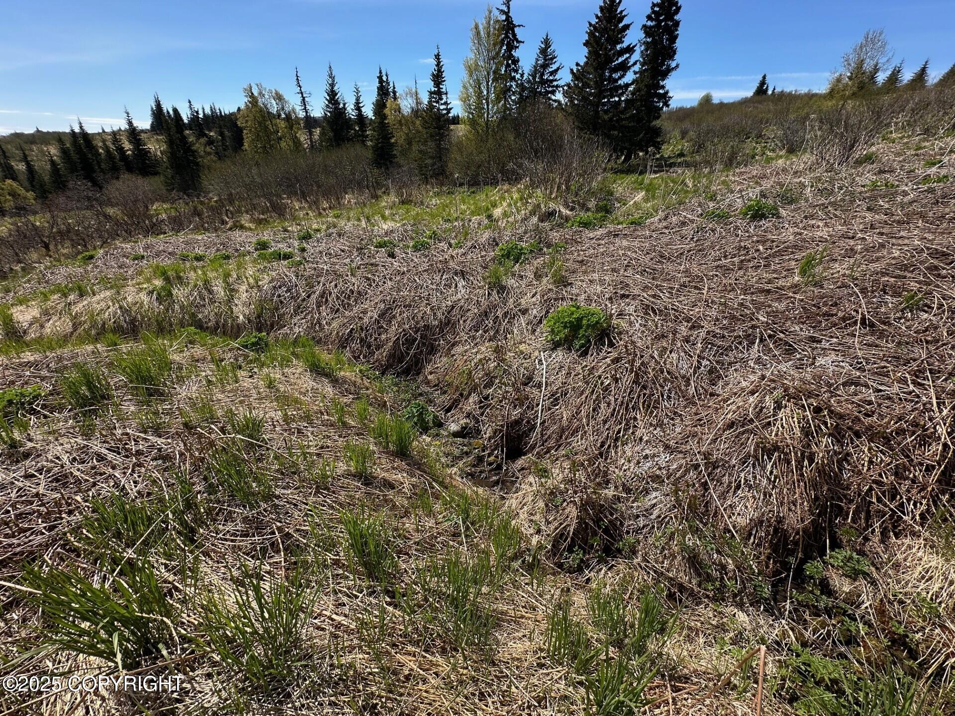 63687 Inez Avenue, Anchor Point, Alaska image 5