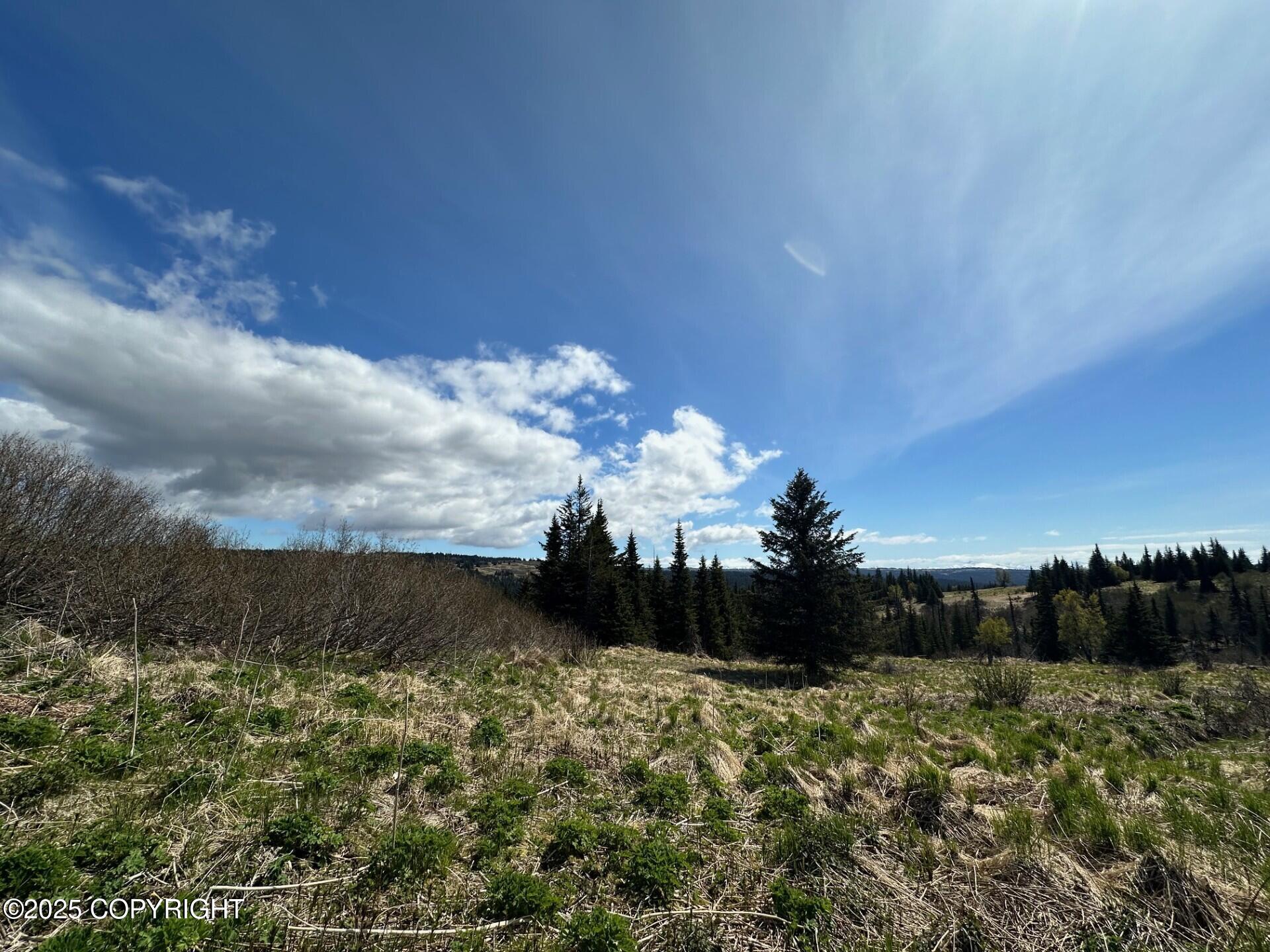 63687 Inez Avenue, Anchor Point, Alaska image 20