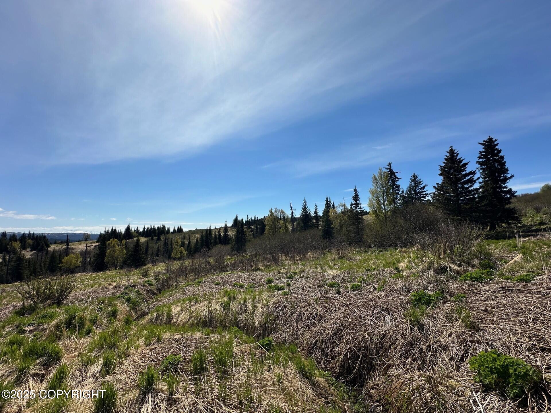 63687 Inez Avenue, Anchor Point, Alaska image 22