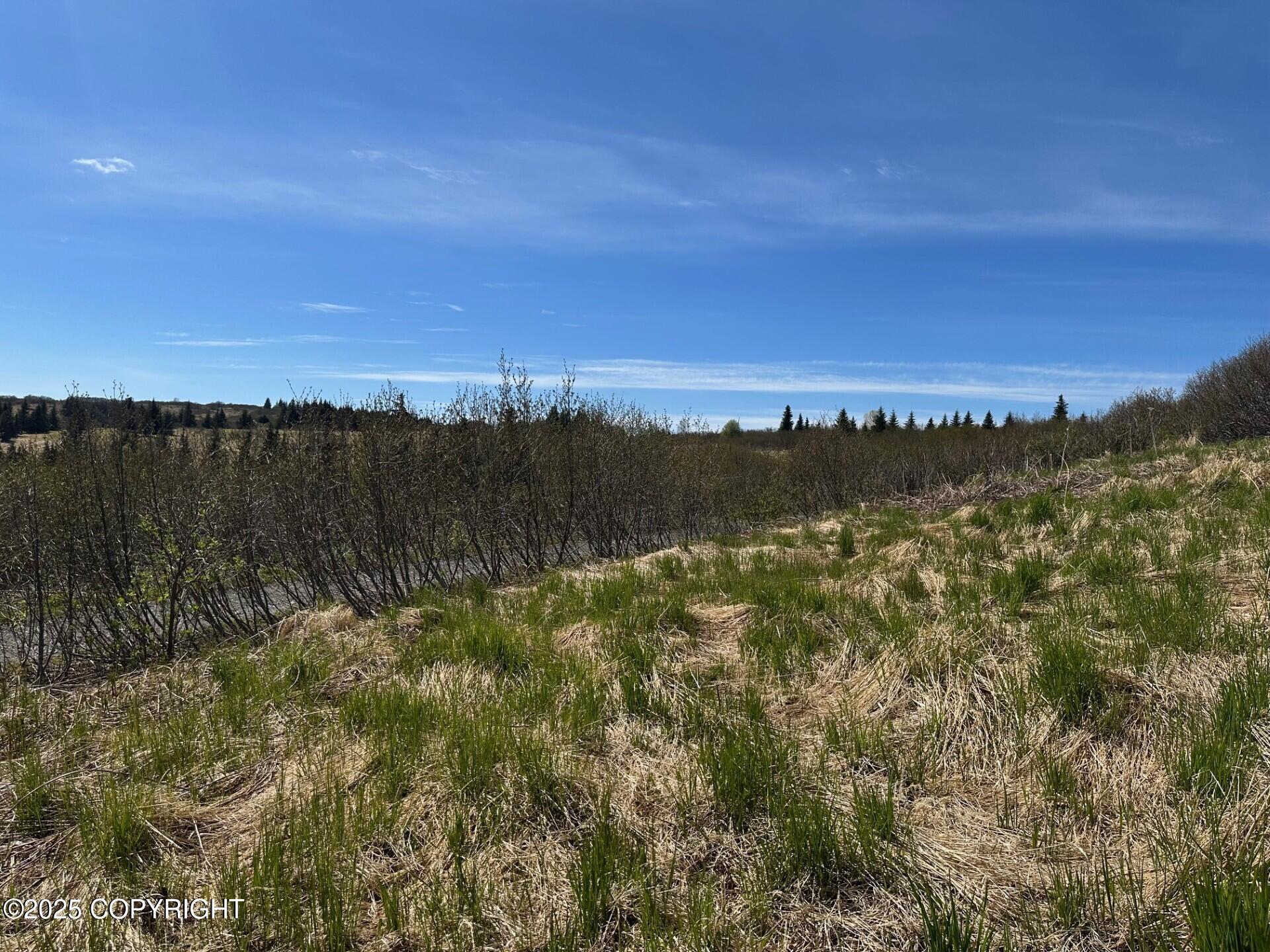 63687 Inez Avenue, Anchor Point, Alaska image 7