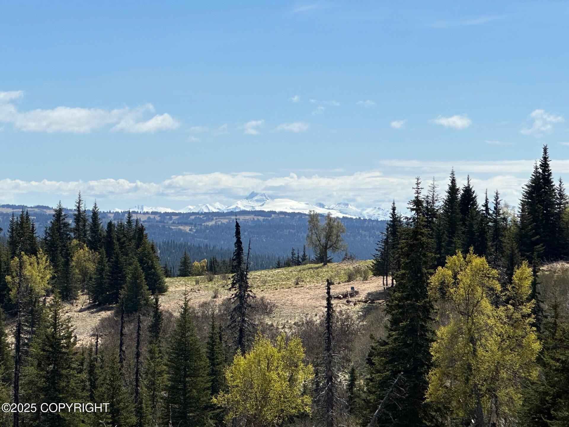63687 Inez Avenue, Anchor Point, Alaska image 4