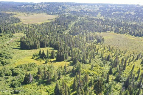 Vacant Land For Sale - 63687 Inez Avenue<br/> Anchor Point, AK 99556
