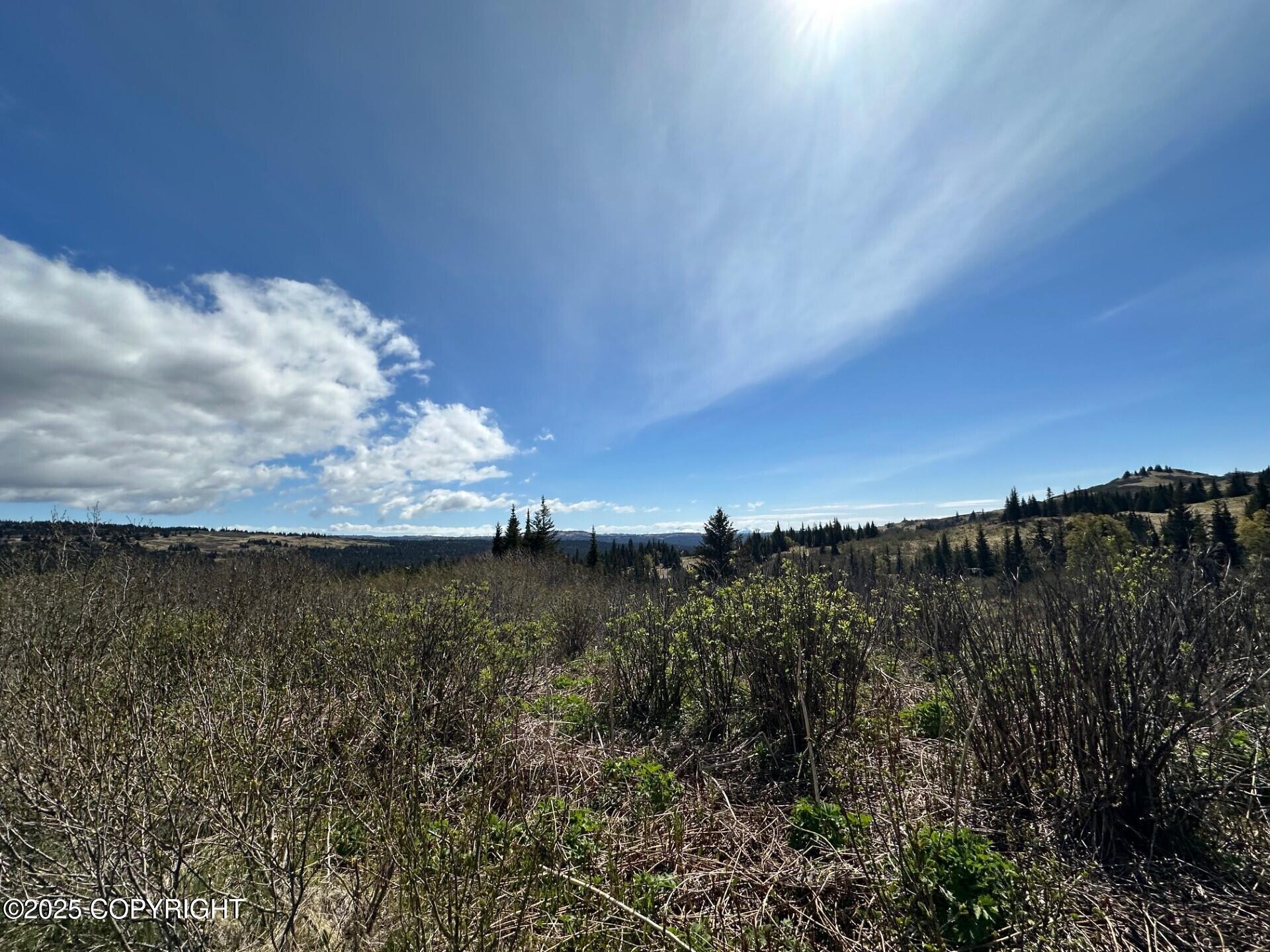 63687 Inez Avenue, Anchor Point, Alaska image 23