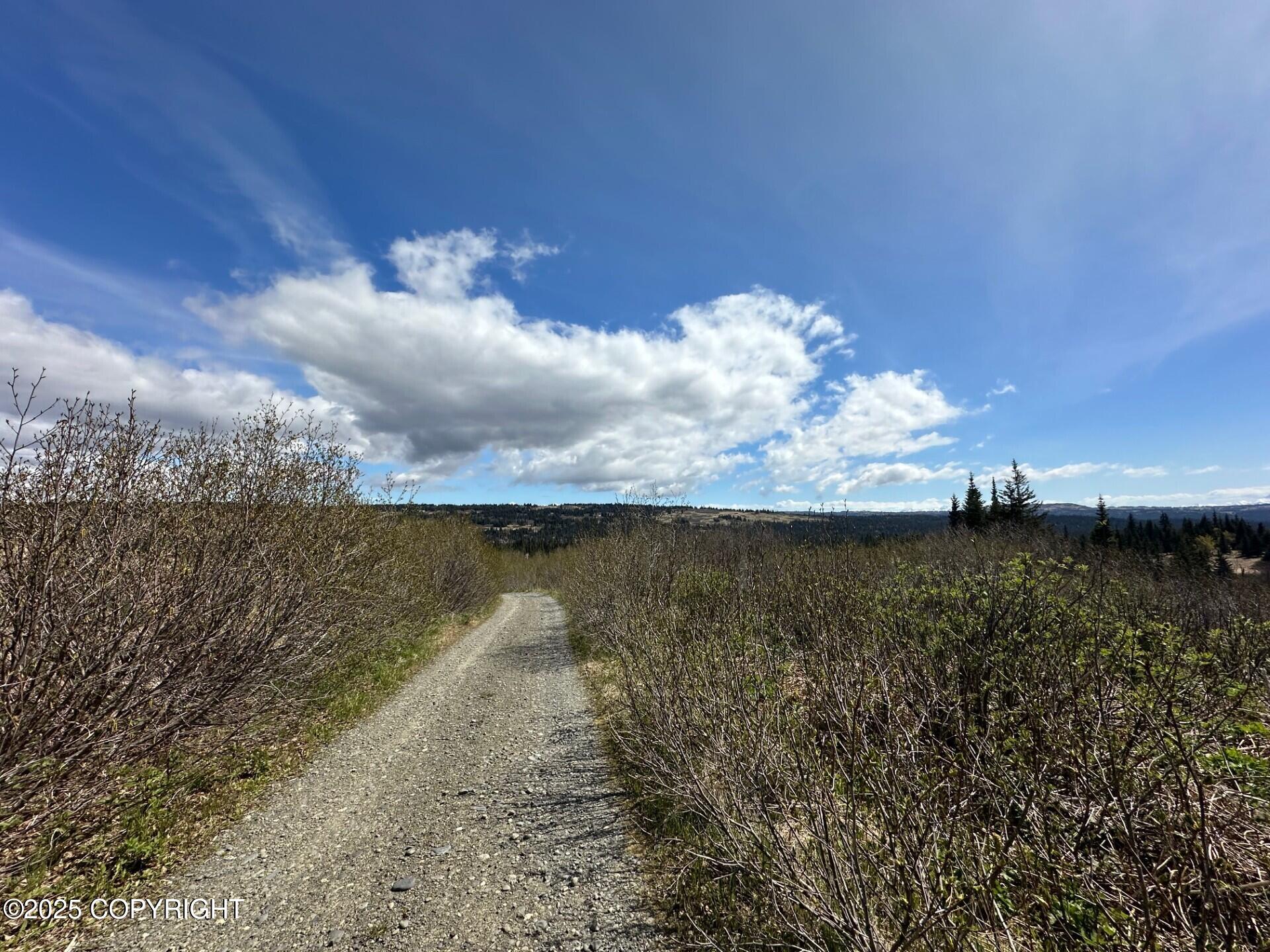 63687 Inez Avenue, Anchor Point, Alaska image 24