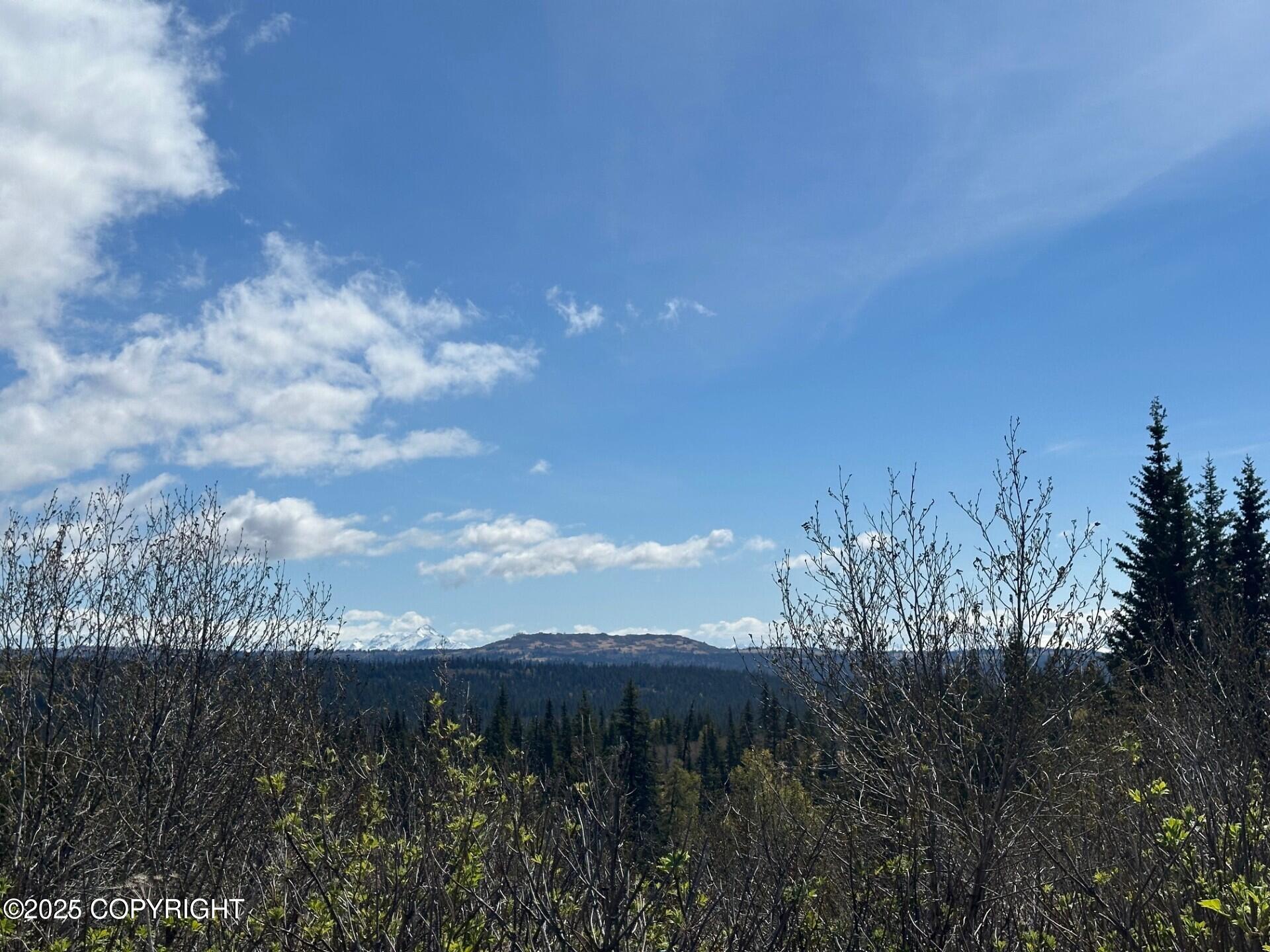 63687 Inez Avenue, Anchor Point, Alaska image 28