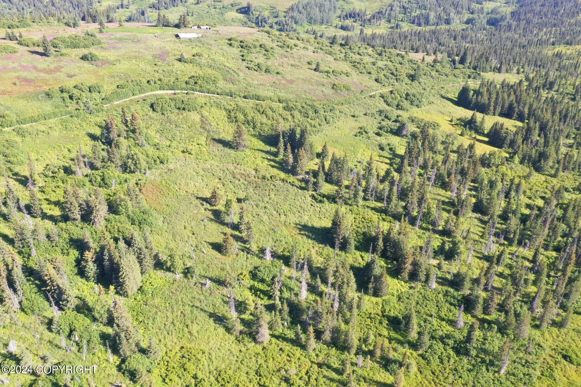 63687 Inez Avenue, Anchor Point, Alaska image 4